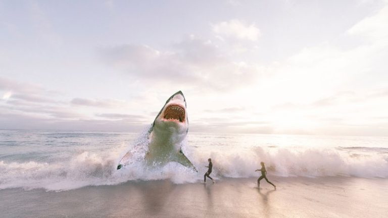 Dreams About Sharks: What Does It Mean?